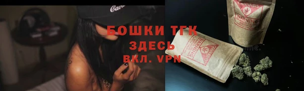 стаф Гусиноозёрск