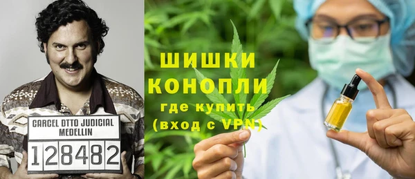 круглые Гусев