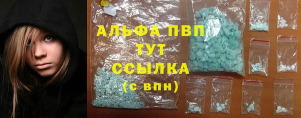 круглые Гусев